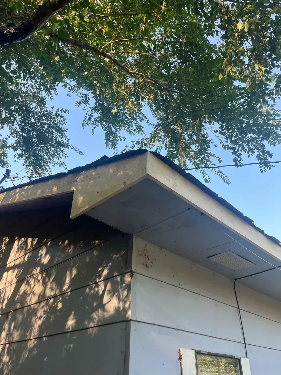 Corner of a building with a flat roof and overhanging eaves, against a blue sky with tree foliage.