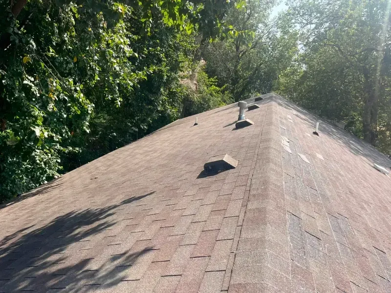 Brown shingled roof with multiple vents against a backdrop of green trees under a sunny sky.