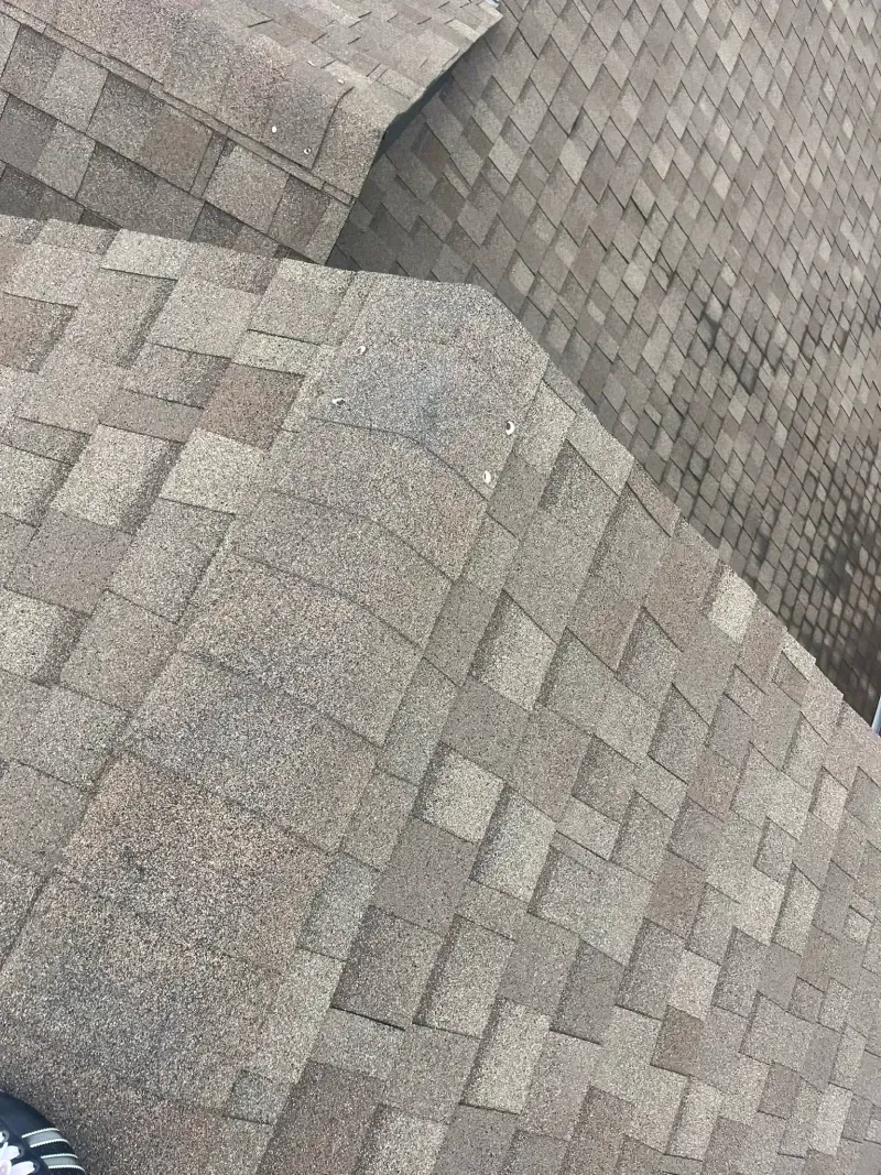 Close-up of a brown asphalt shingle roof.