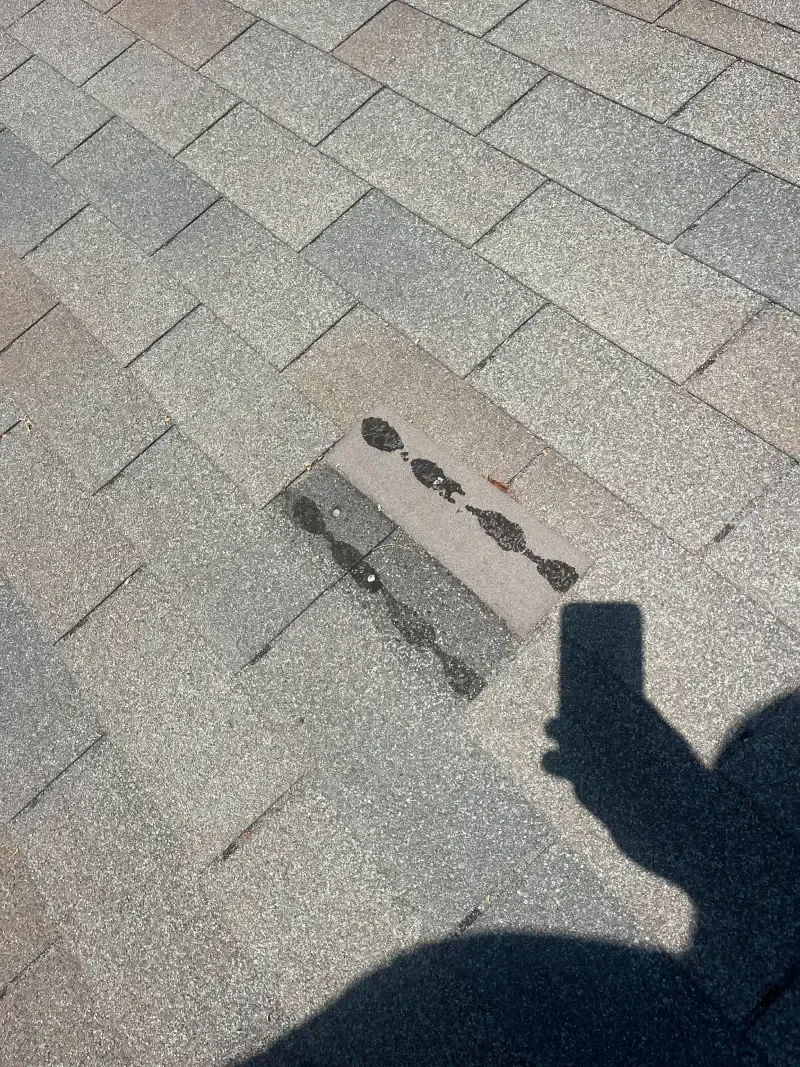 Close-up of asphalt shingle roof. A single shingle is missing, revealing the underlayment.