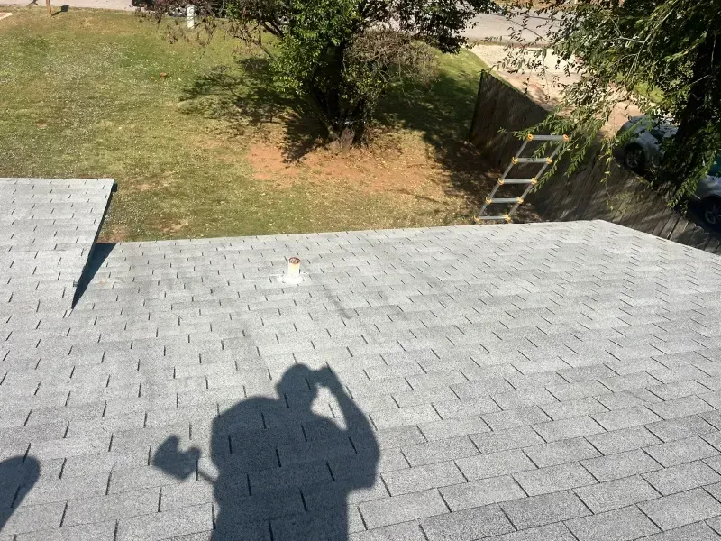 Shadow of person on gray shingled roof, looking towards grassy yard and trees. Ladder visible.