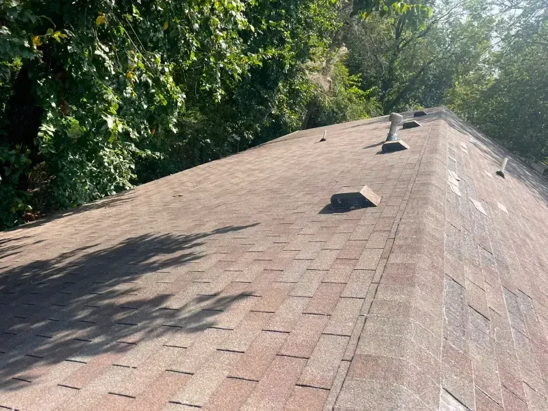 Brown asphalt shingle roof with vents, trees in the background. Sunny day.