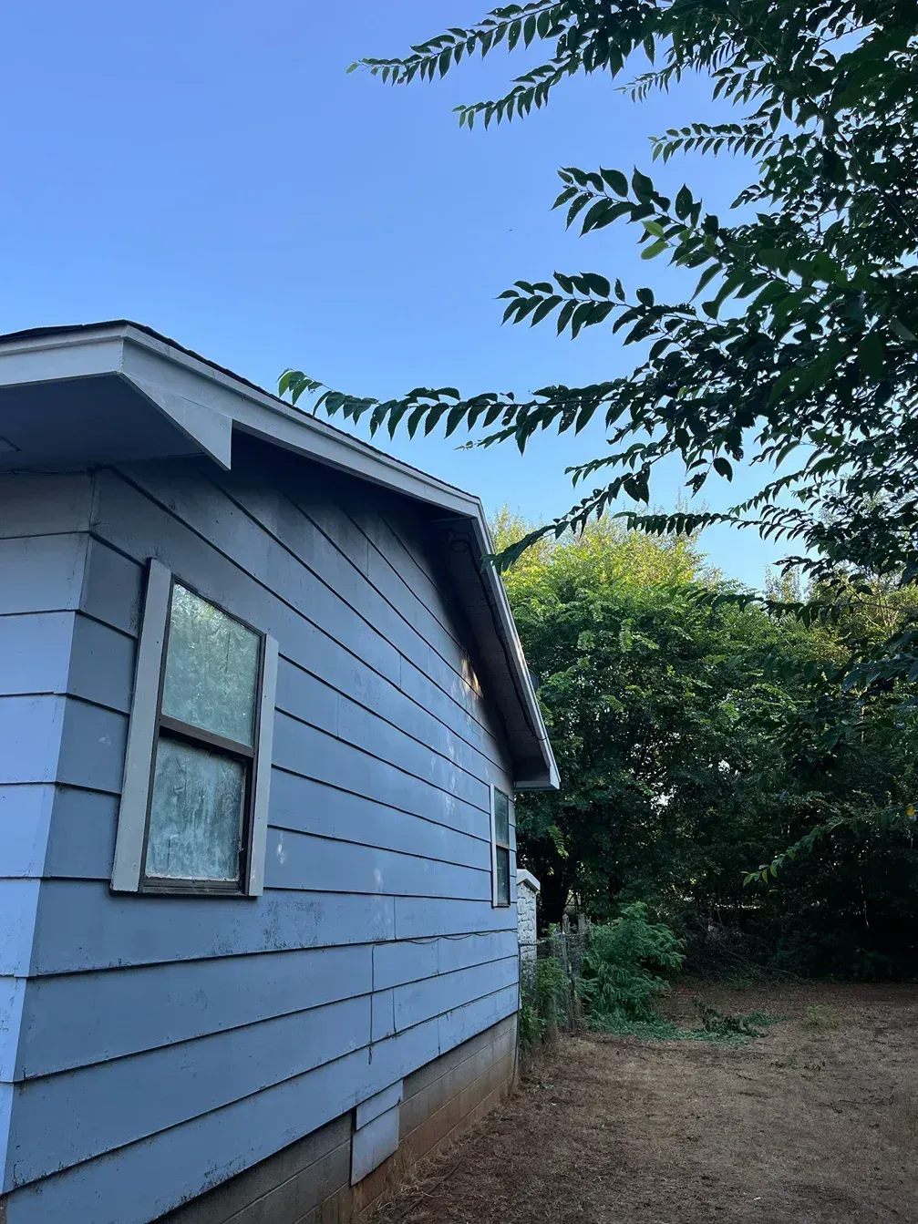 Blue-sided house with a window, set against a backdrop of trees and a clear blue sky.