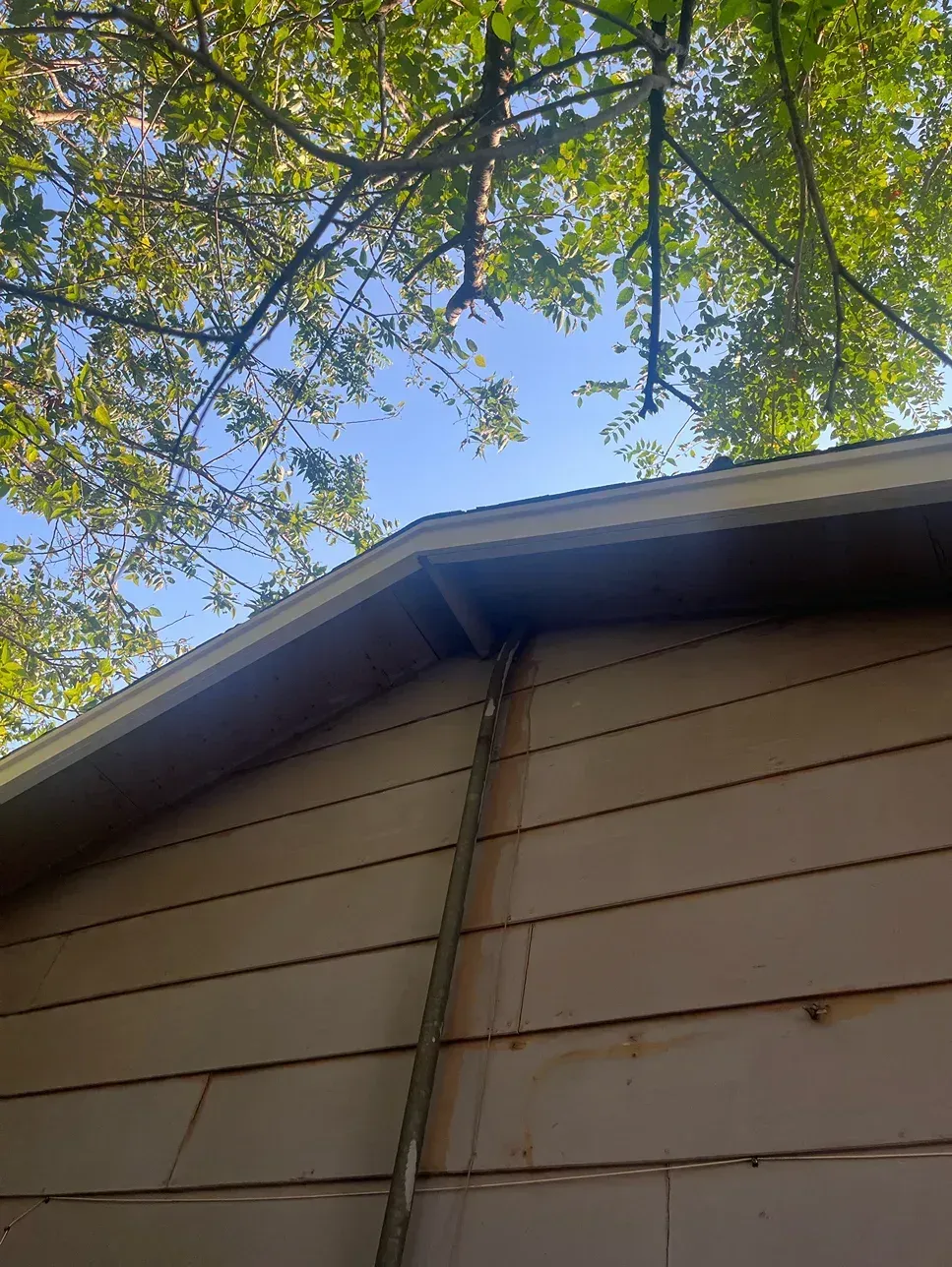 Beige siding on a house with a visible rain gutter and tree branches against a blue sky.