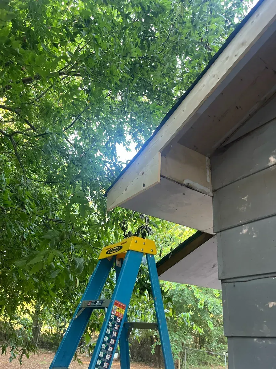 Blue ladder supporting a shed's unfinished eaves. Bright sky and green trees in the background.
