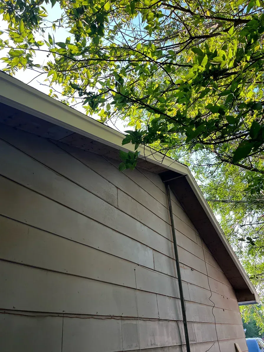 Beige house siding with a light-colored roof edge, beneath green tree leaves against a blue sky.