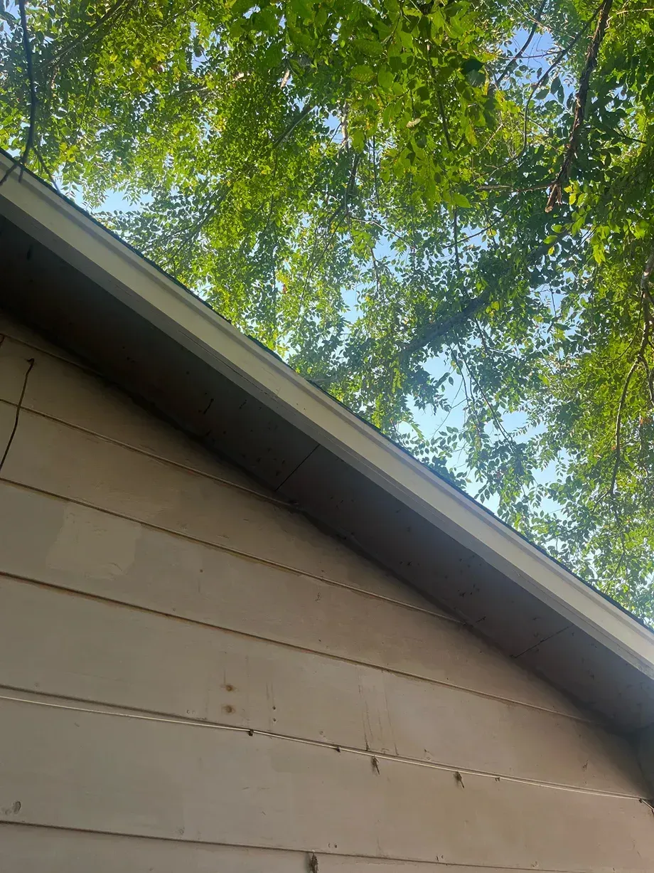 Beige siding and gray trim of a building with leafy green tree branches and blue sky above.