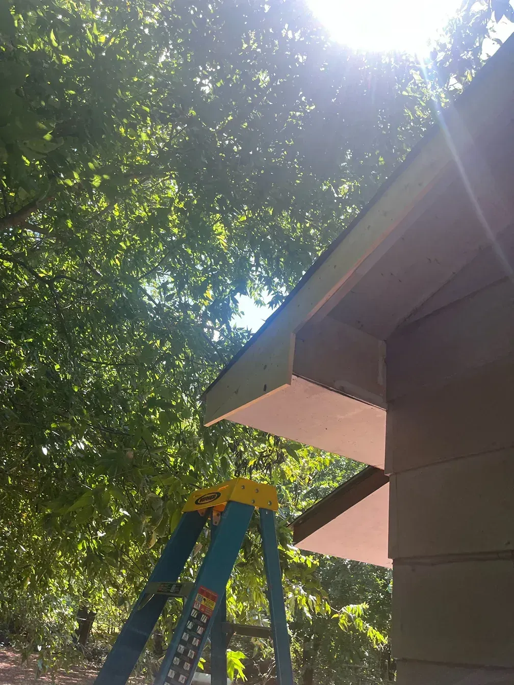 Ladder near a roof with brown trim under a bright sky, surrounded by green trees.