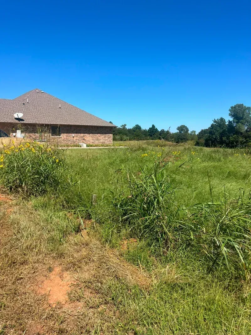 Grassy field with a house in the background under a blue sky.