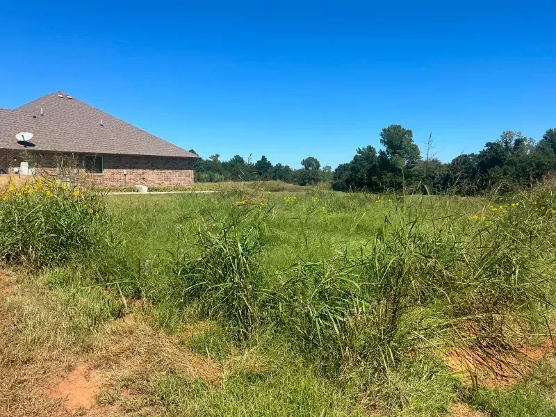 Grassy field with a house on the left under a blue sky, trees in the distance.