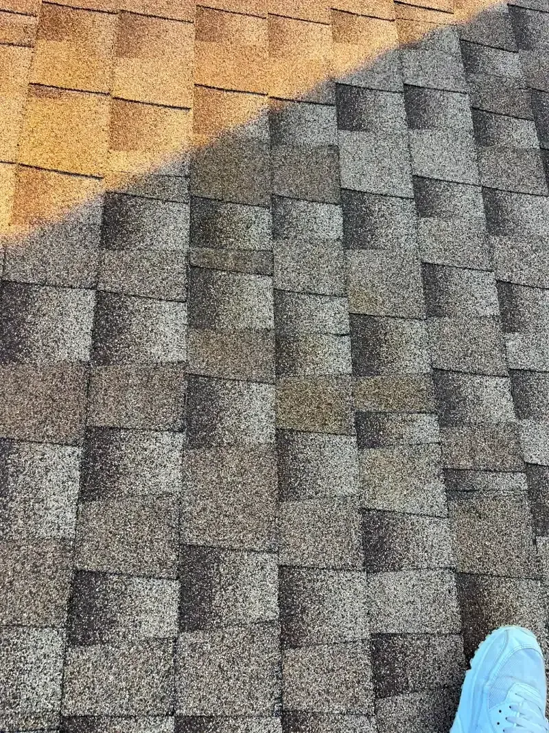 Close-up of a shingled roof with a shadow. The shingles are multi-colored, with a foot visible on the bottom right.