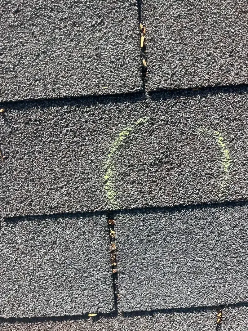 Close-up of asphalt roof shingles with a light-colored, circular discoloration.