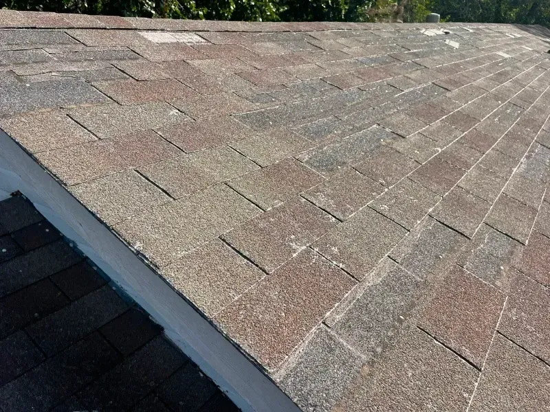 Close-up of a multi-colored asphalt shingle roof. The shingles show signs of wear and granular loss.