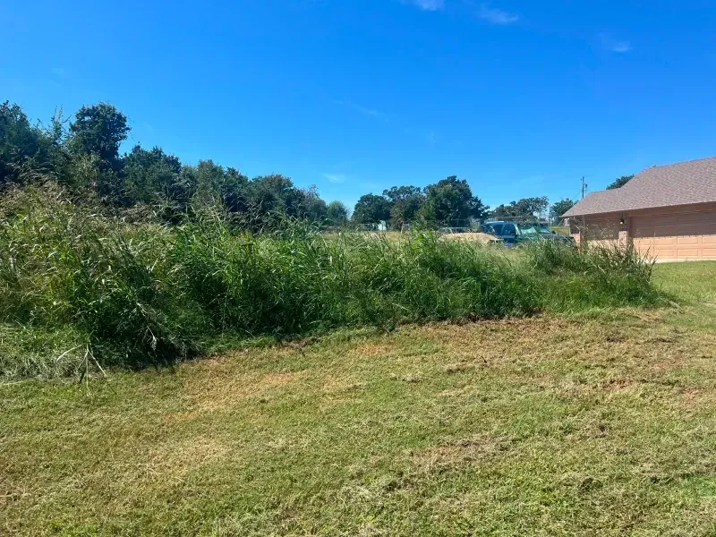 Grassy field with tall weeds in the middle, trees in the background, and a building under a blue sky.