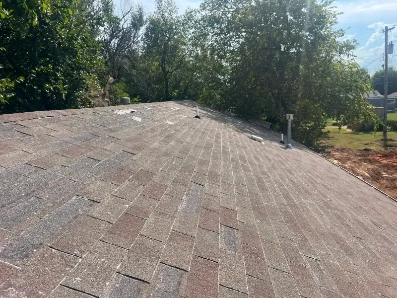 View of a weathered asphalt shingle roof. White granules cover the shingles. Trees and sky in the background.