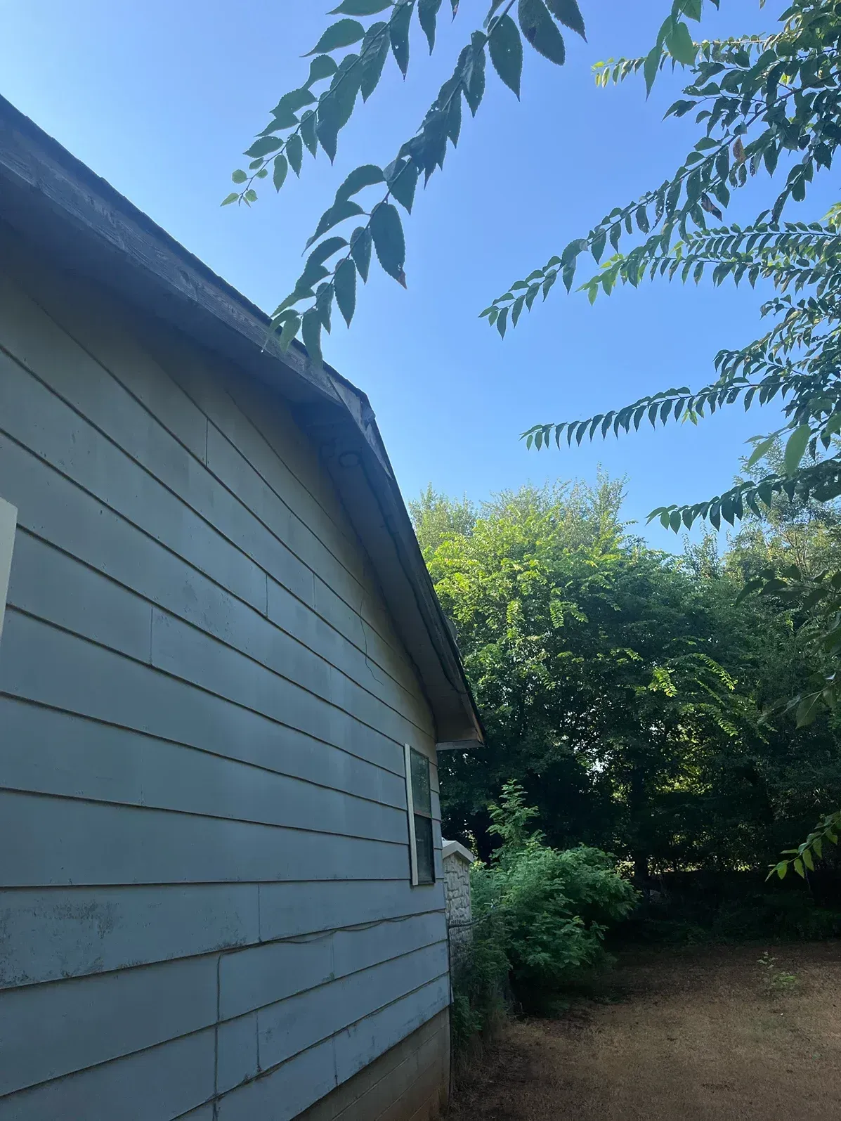 Side of a light blue house with a gray roof, surrounded by green trees under a blue sky.