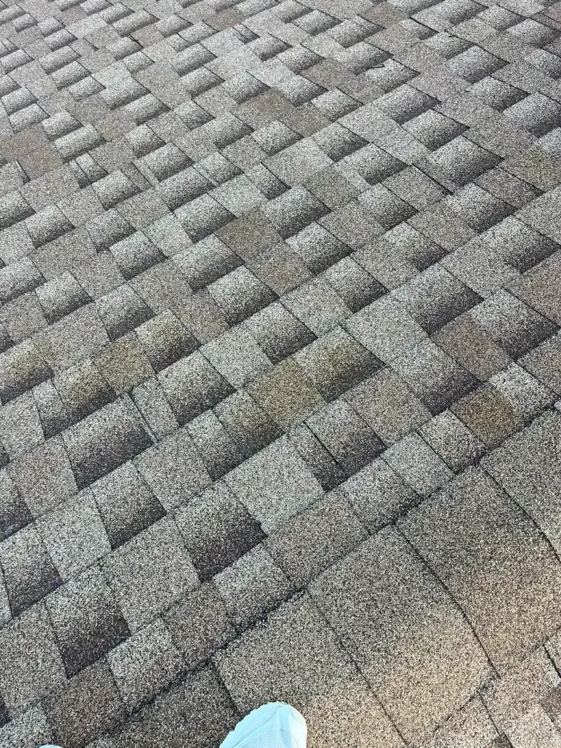 Close-up of a brown asphalt shingle roof.