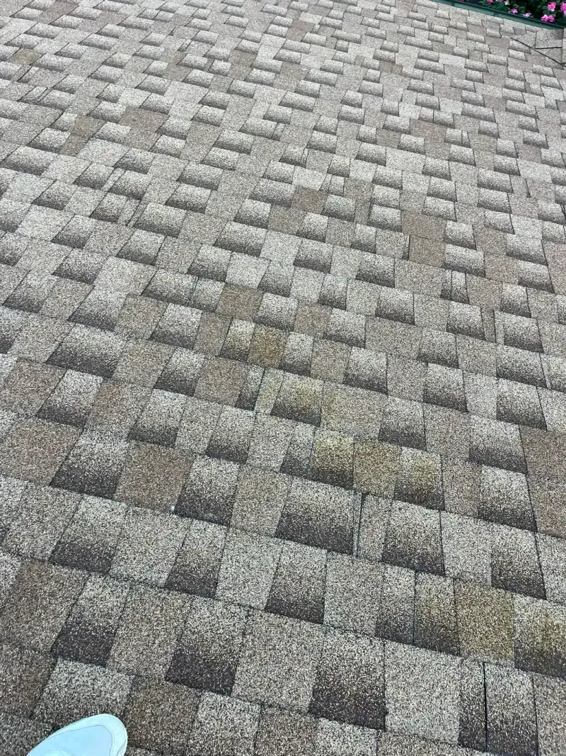 Close-up of a brown and tan asphalt shingle roof, with a pattern of darker shaded areas.