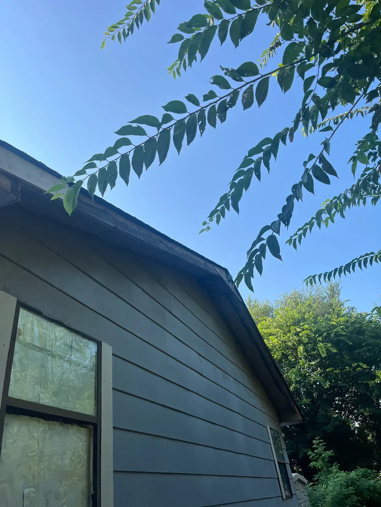 Blue-sided house with a dark roof and branches of a tree against a blue sky.