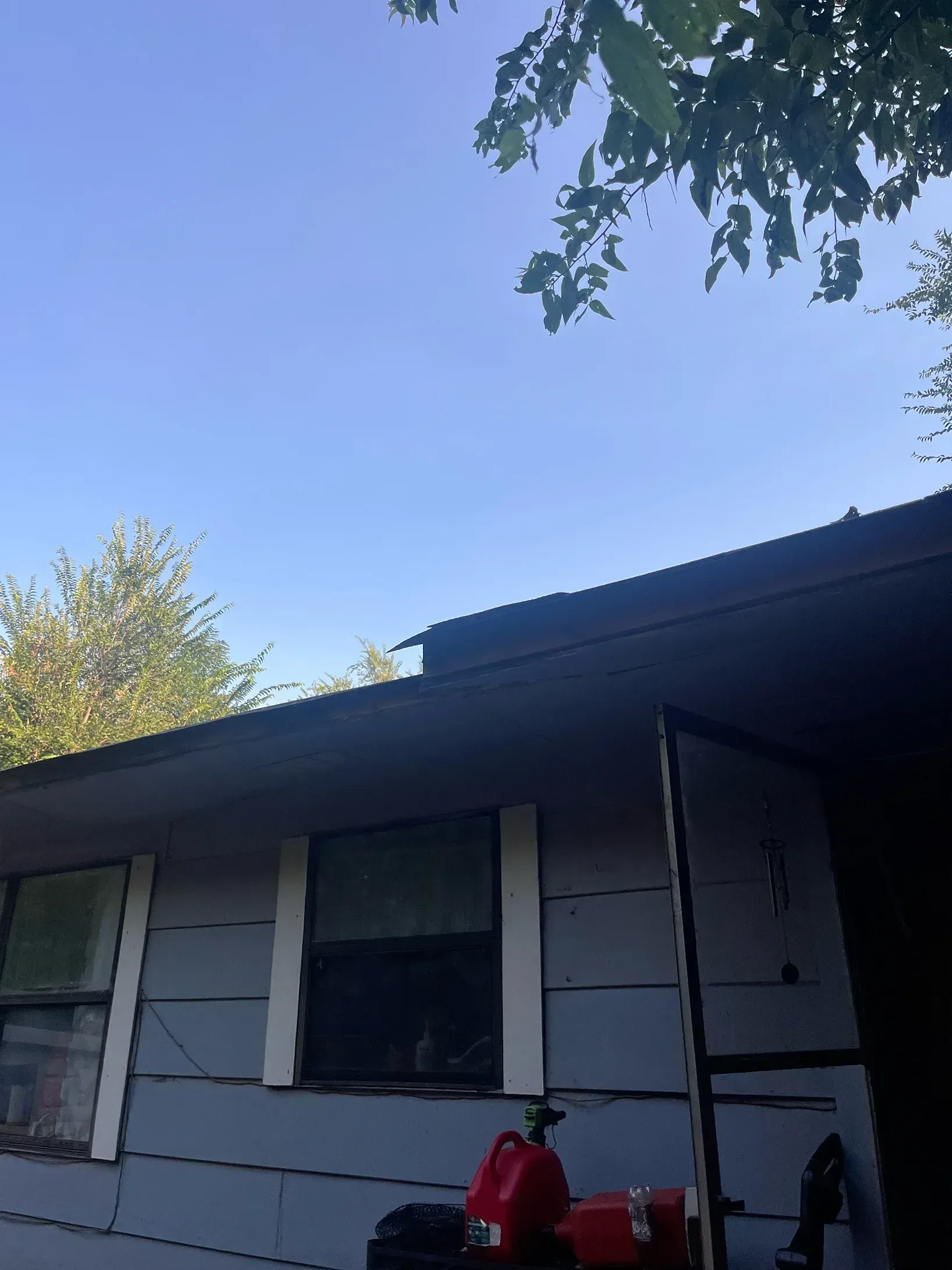 A gray house with white window trim under a clear blue sky. Trees frame the top.