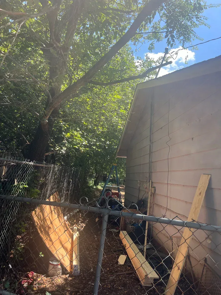 A tree with extending branches next to a building, behind a chain-link fence.