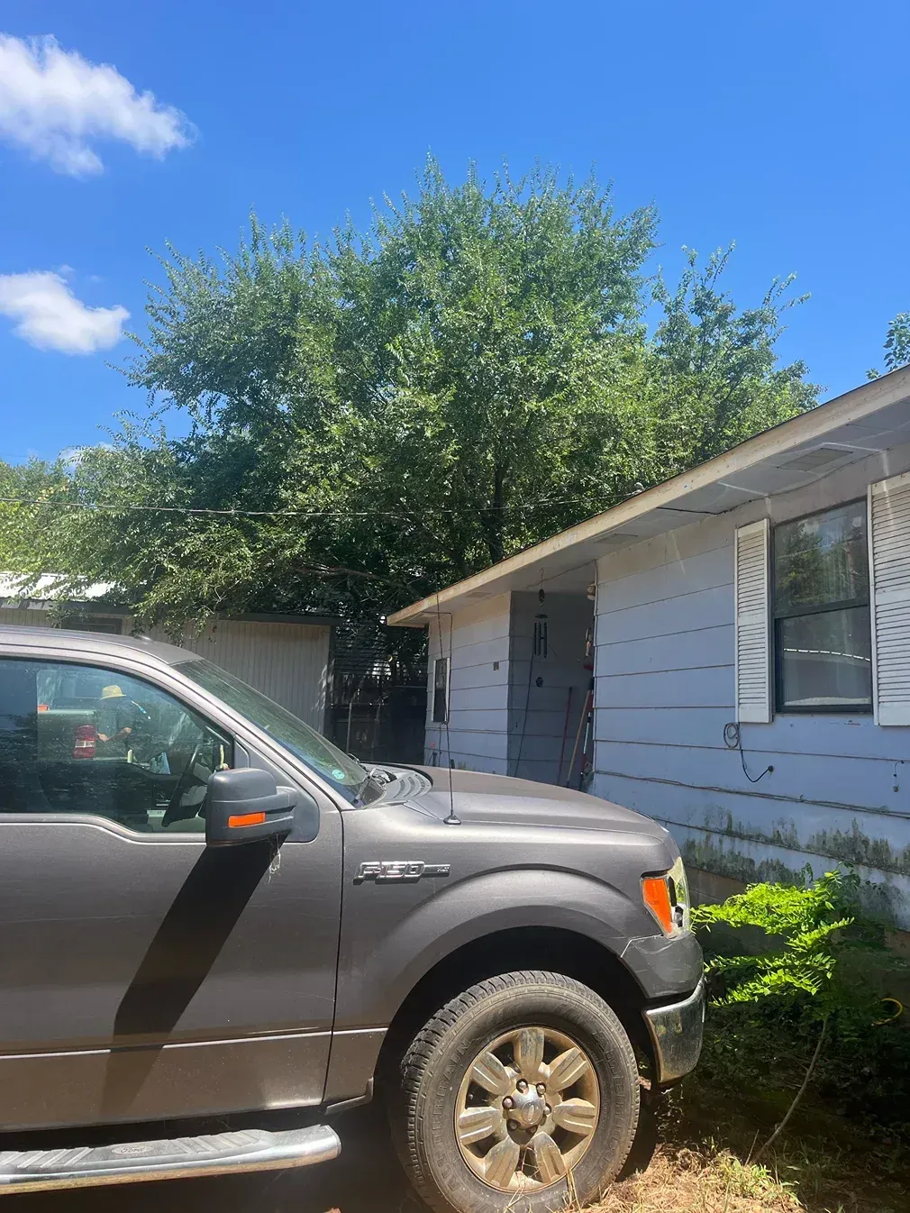 Gray pickup truck parked next to a light blue house under a bright blue sky with a tree.