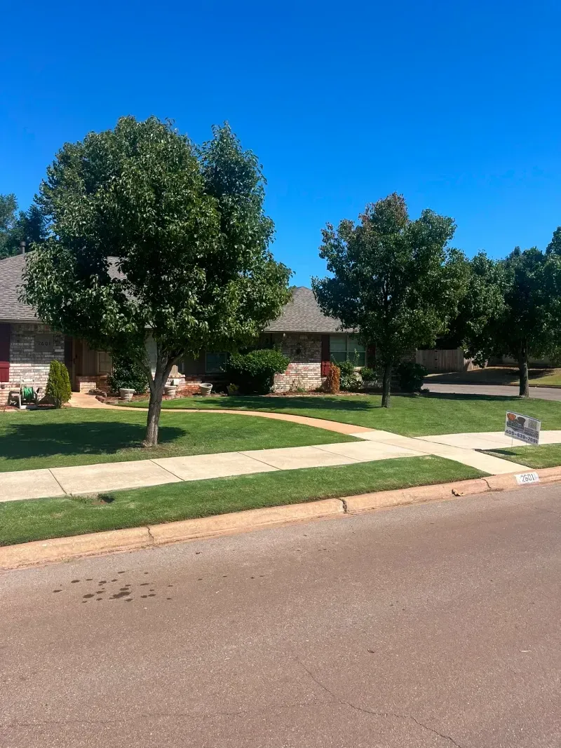 Green trees and grass line a sidewalk in front of a brick house under a bright blue sky.