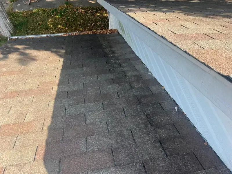Brown and gray shingle roof with algae growth near white trim.