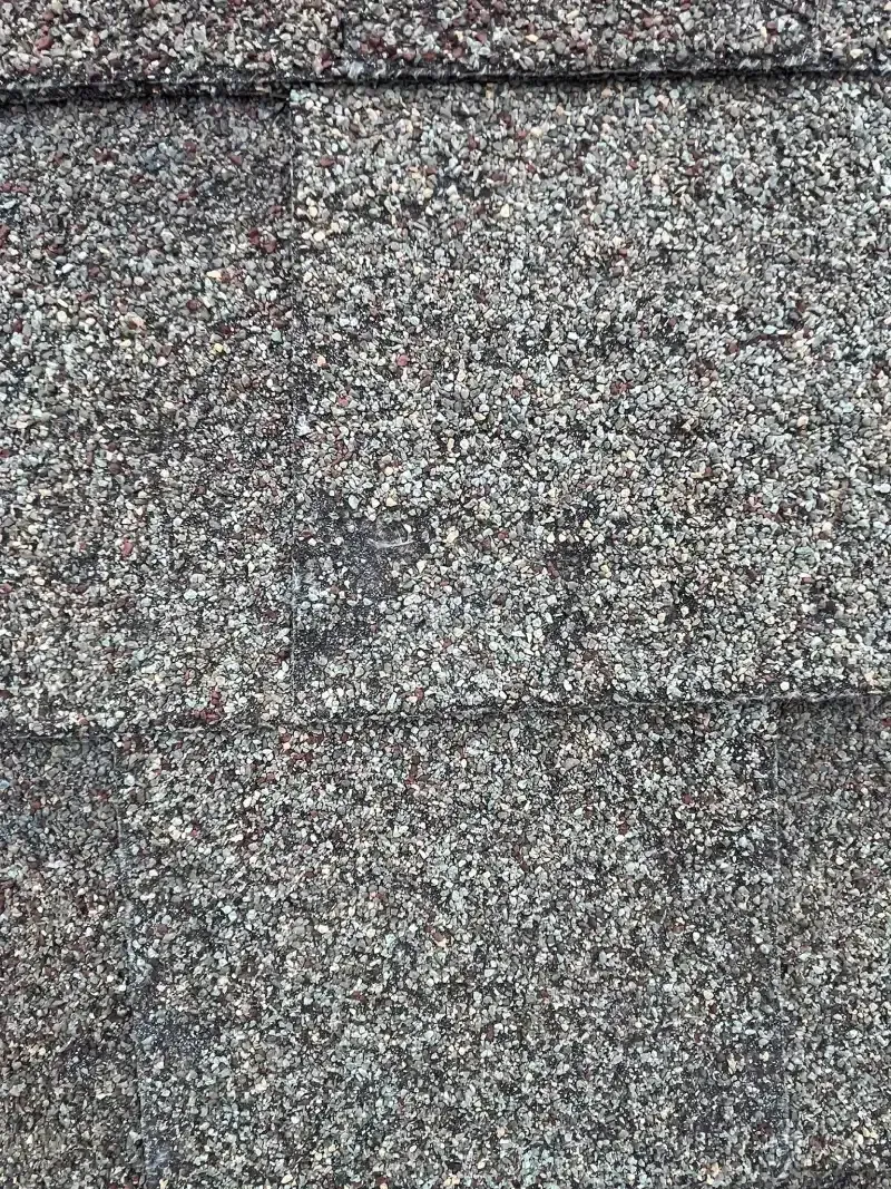 Close-up of a weathered, textured roof with a speckled, gray pattern.