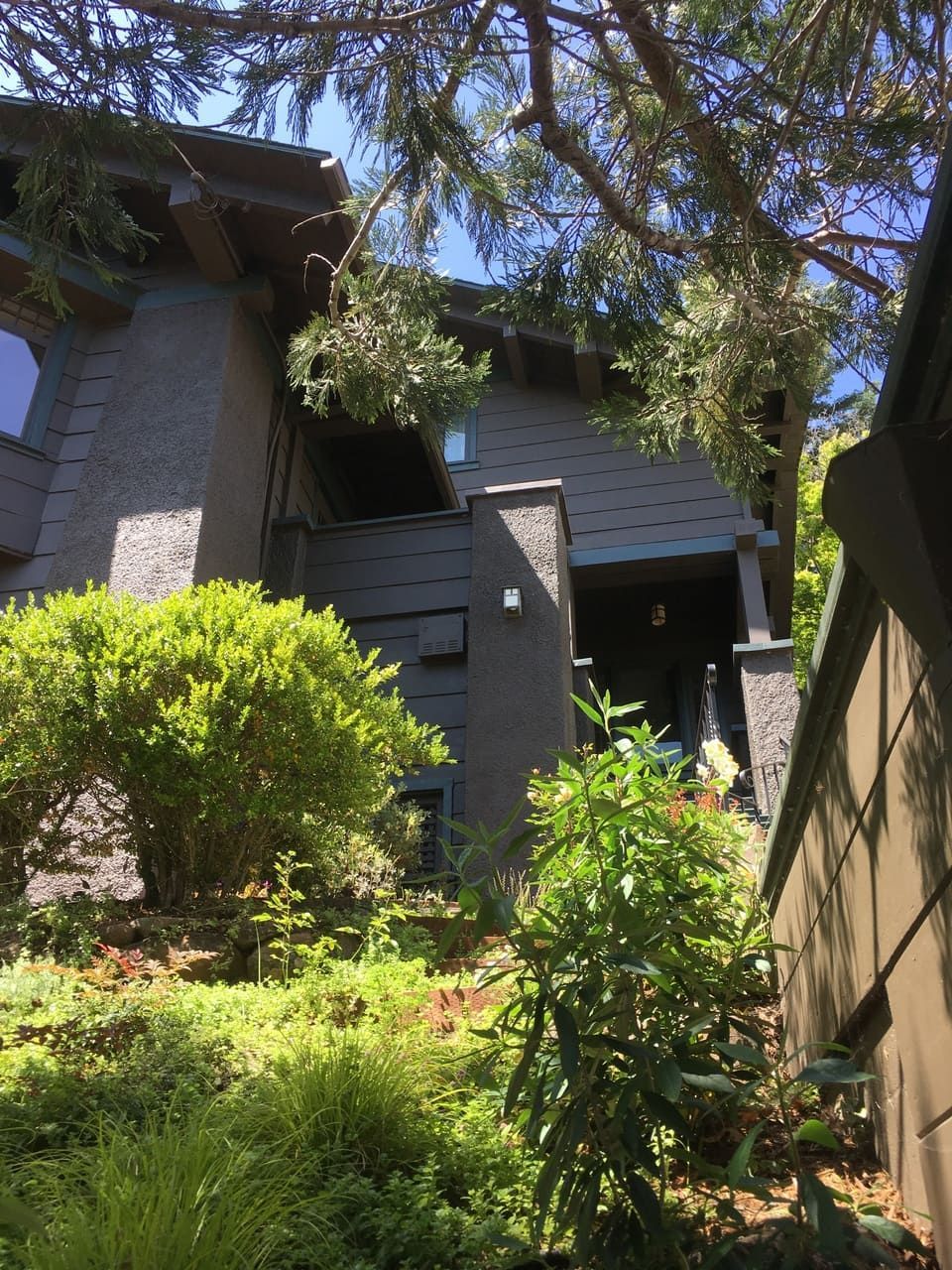 Berkeley Electric 16