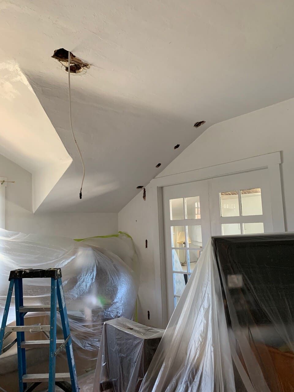 Berkeley Electric 29