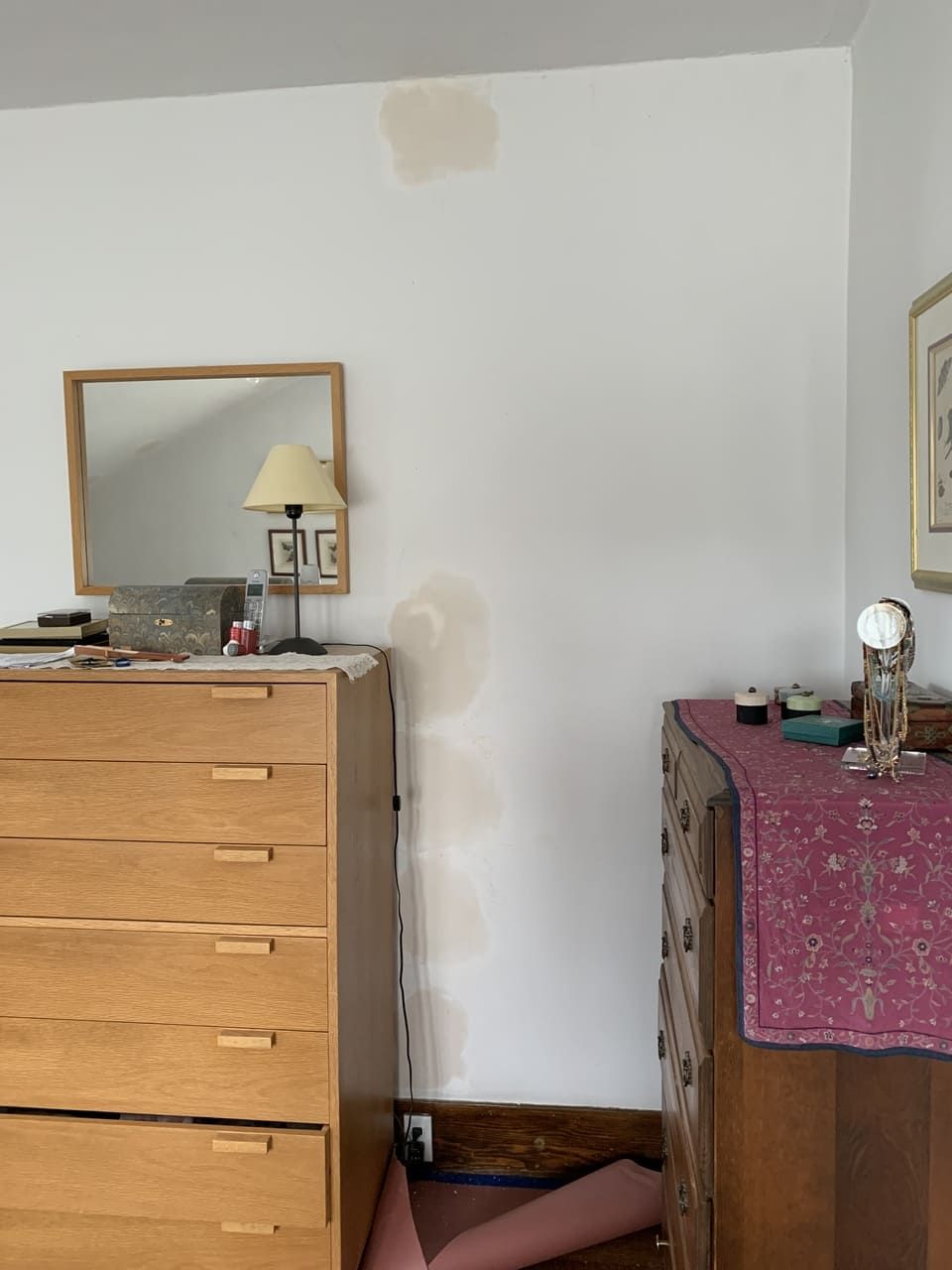 Berkeley Electric 37