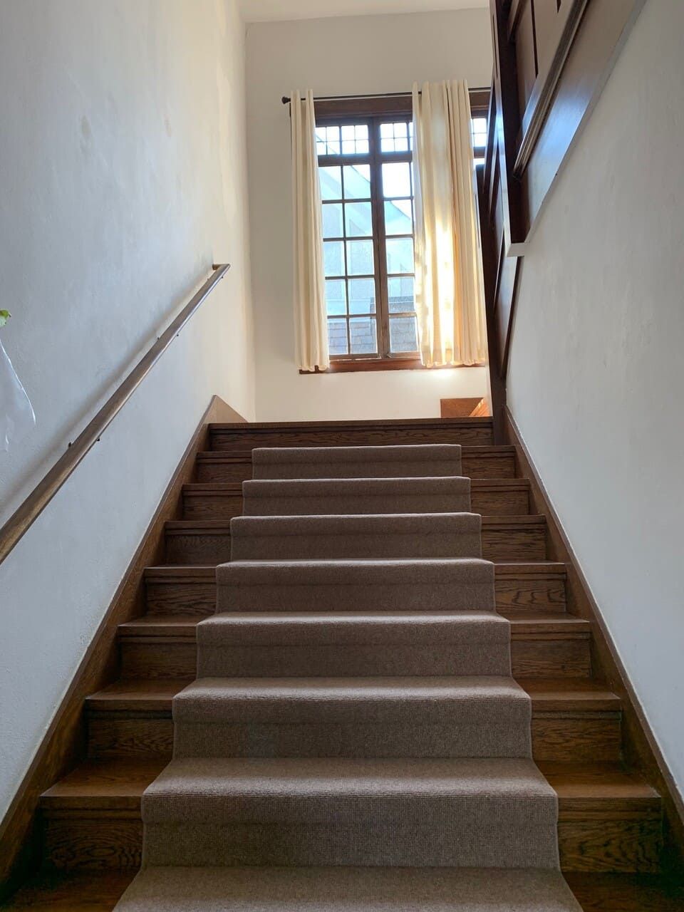 Berkeley Electric 43