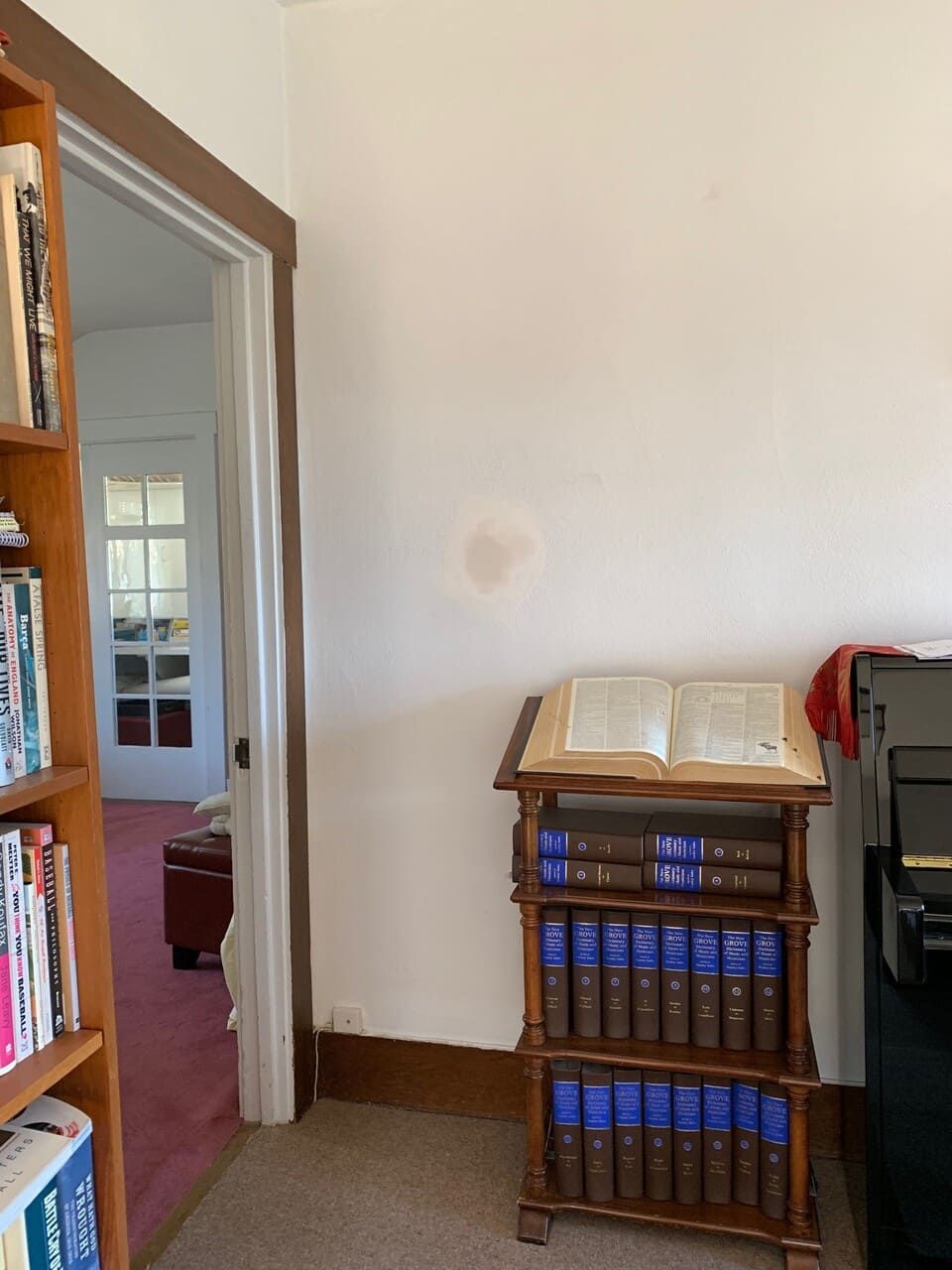 Berkeley Electric 45