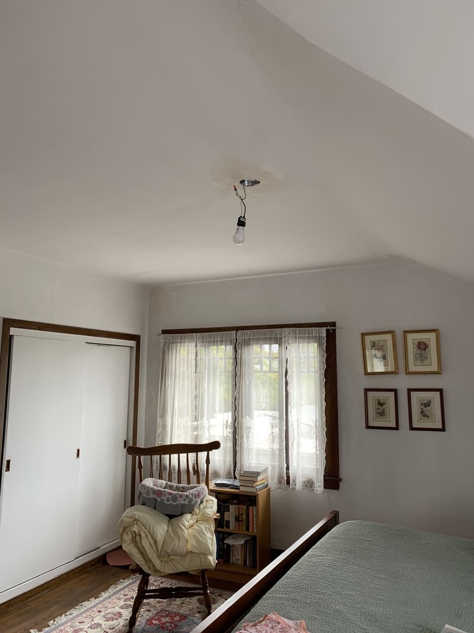 Berkeley Electric 49