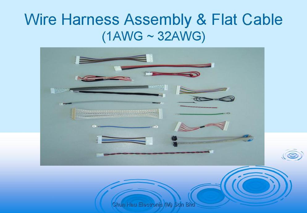 Wire Harness Manufacturer Malaysia Chun Hau Electronic (M) Sdn. Bhd.