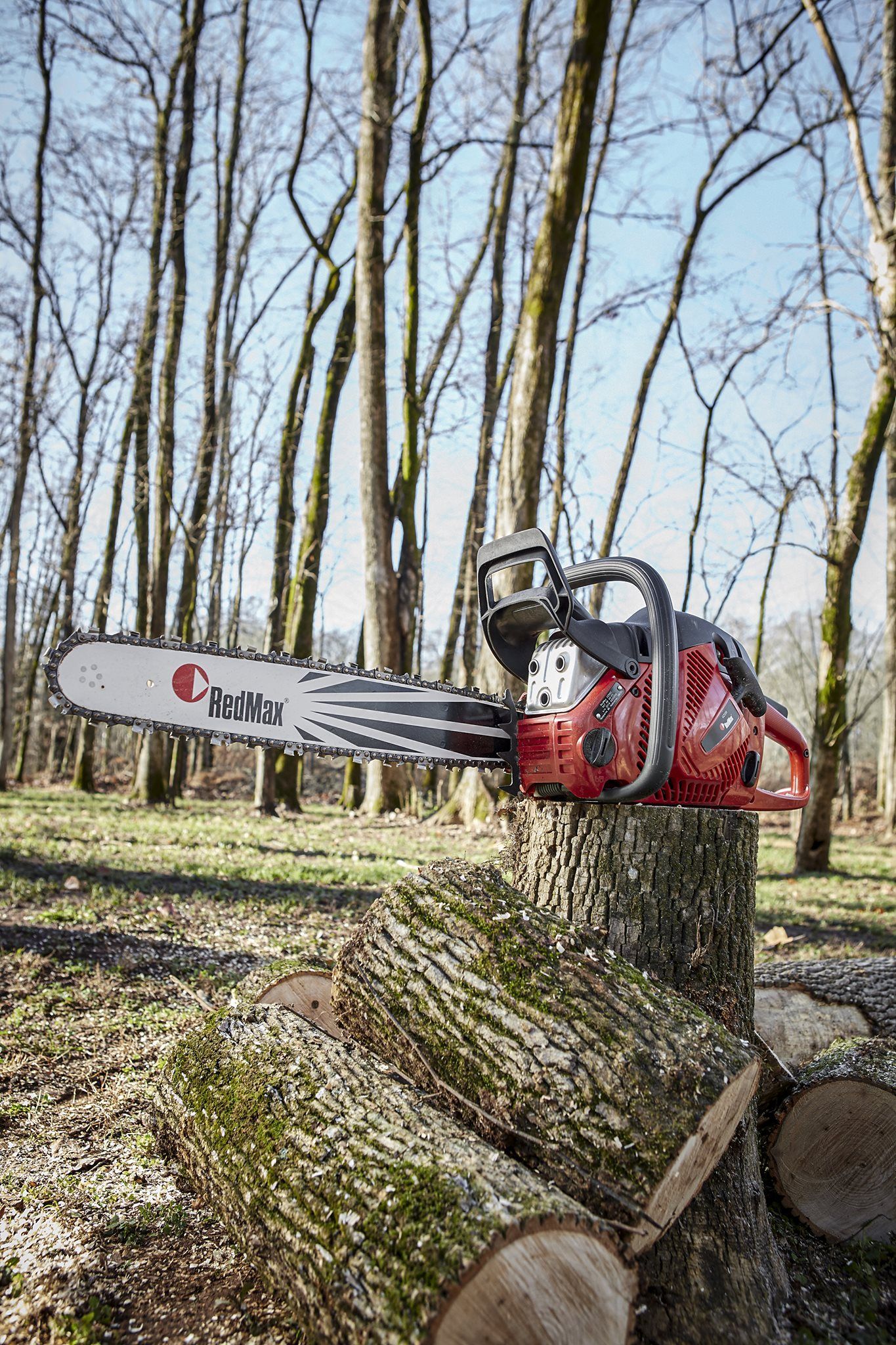 A Red Chainsaw Rests on a Tree Stump — Professional Small Engines in Aitkenvale, QLD