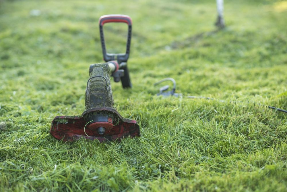 A Red-Black Whipper Snipper Lying on Freshly Cut Green Grass — Professional Small Engines in Aitkenvale, QLD