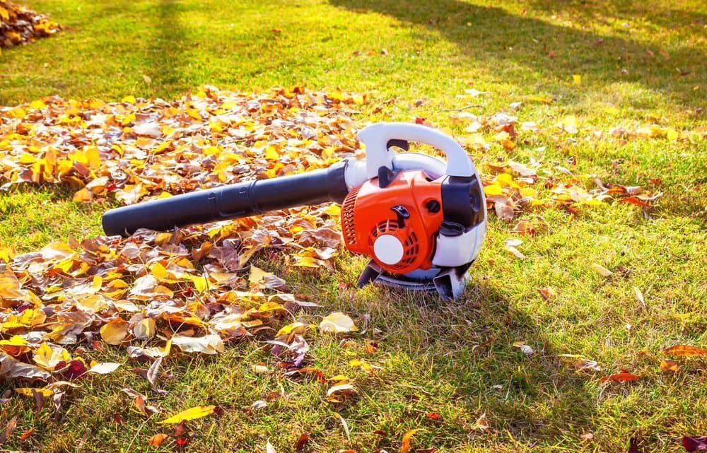Leaf Blower — Professional Small Engines in Aitkenvale, QLD