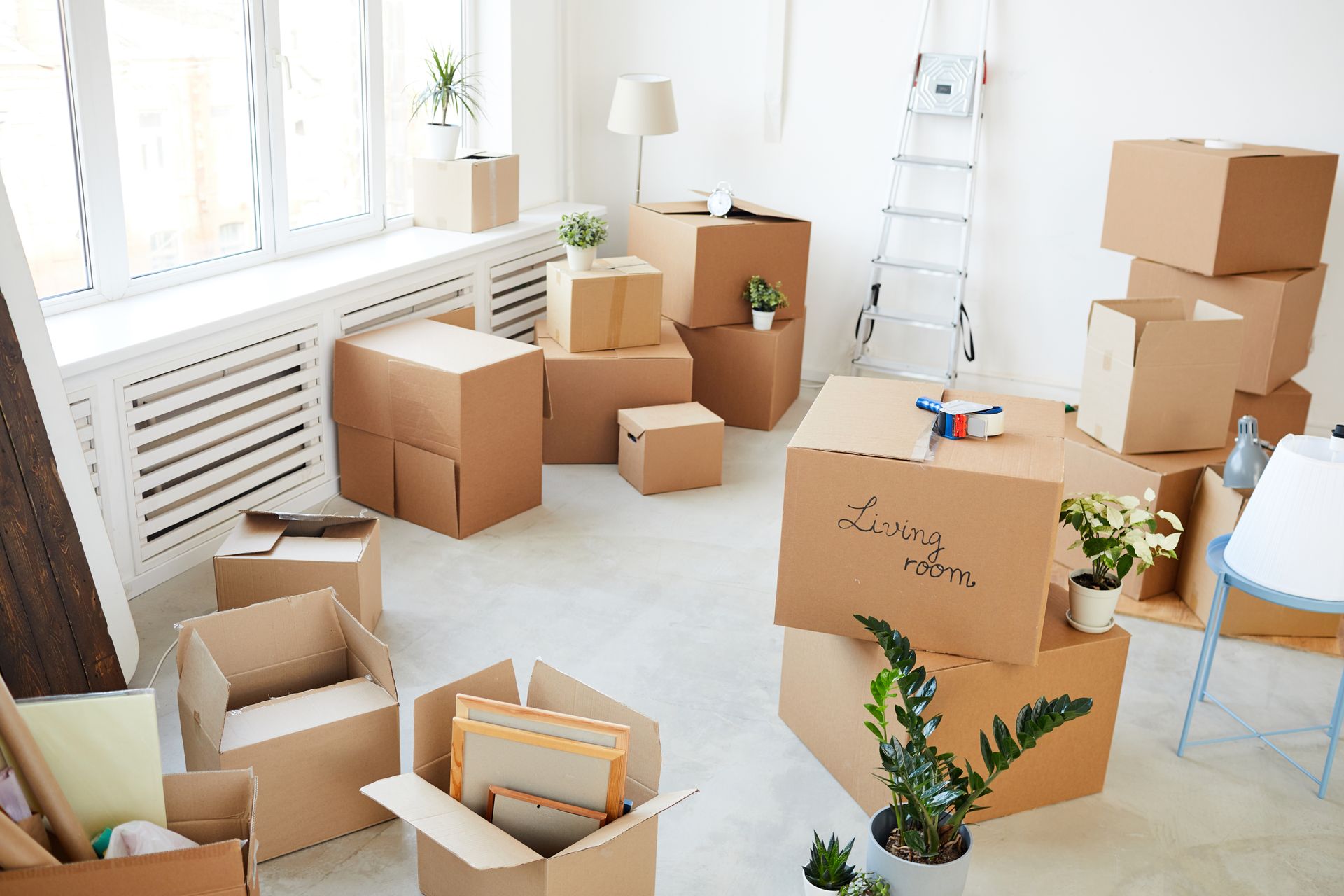 A living room filled with cardboard boxes and potted plants.