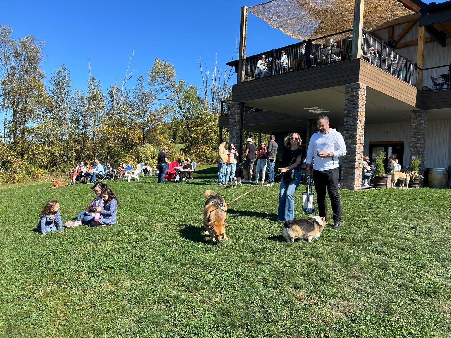 A group of people are standing in a grassy field with their dogs in front of the winery.