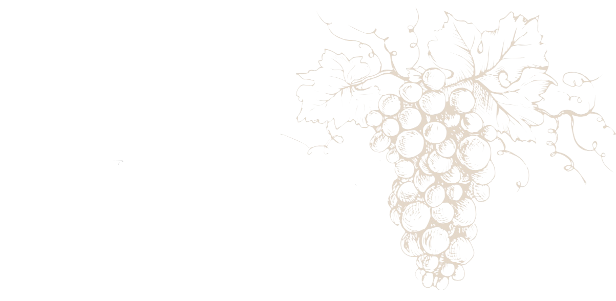 A maiolatesi wine cellars logo with a bunch of grapes