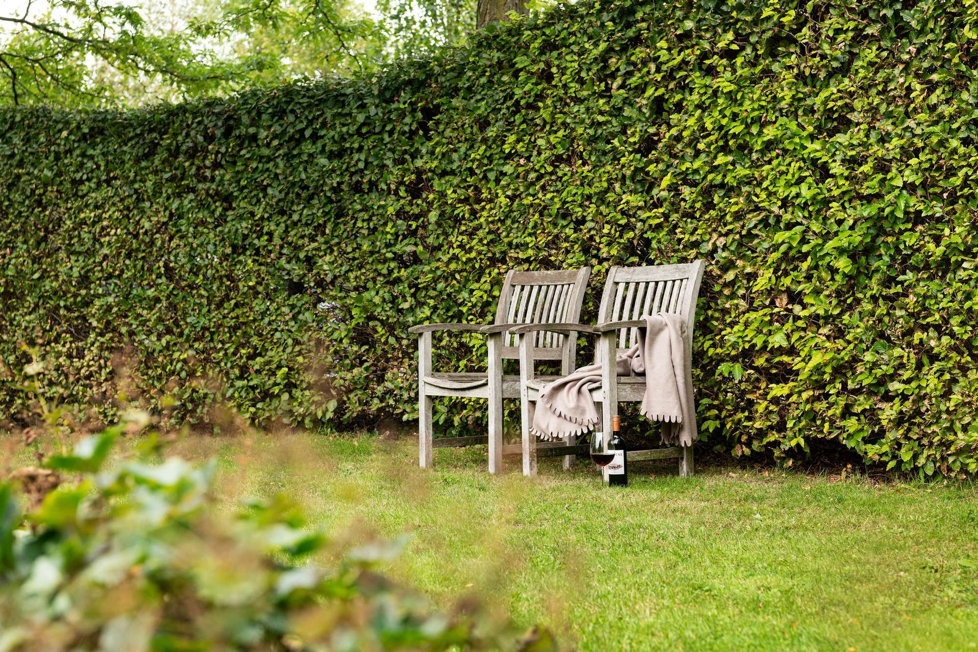 Twee houten stoelen staan ​​tegen een dichte groene heg in een grasveld.
