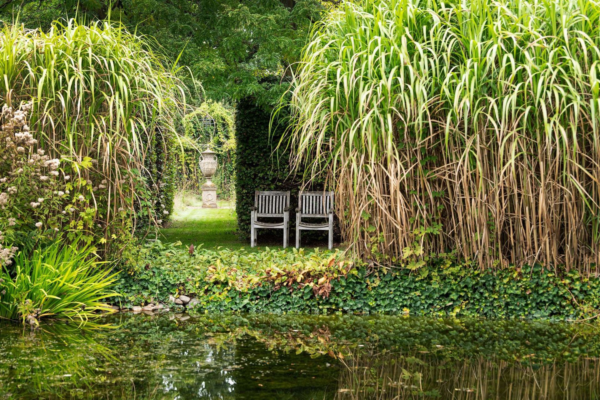 Twee houten stoelen onder een boom tussen hoog gras en een vijver.
