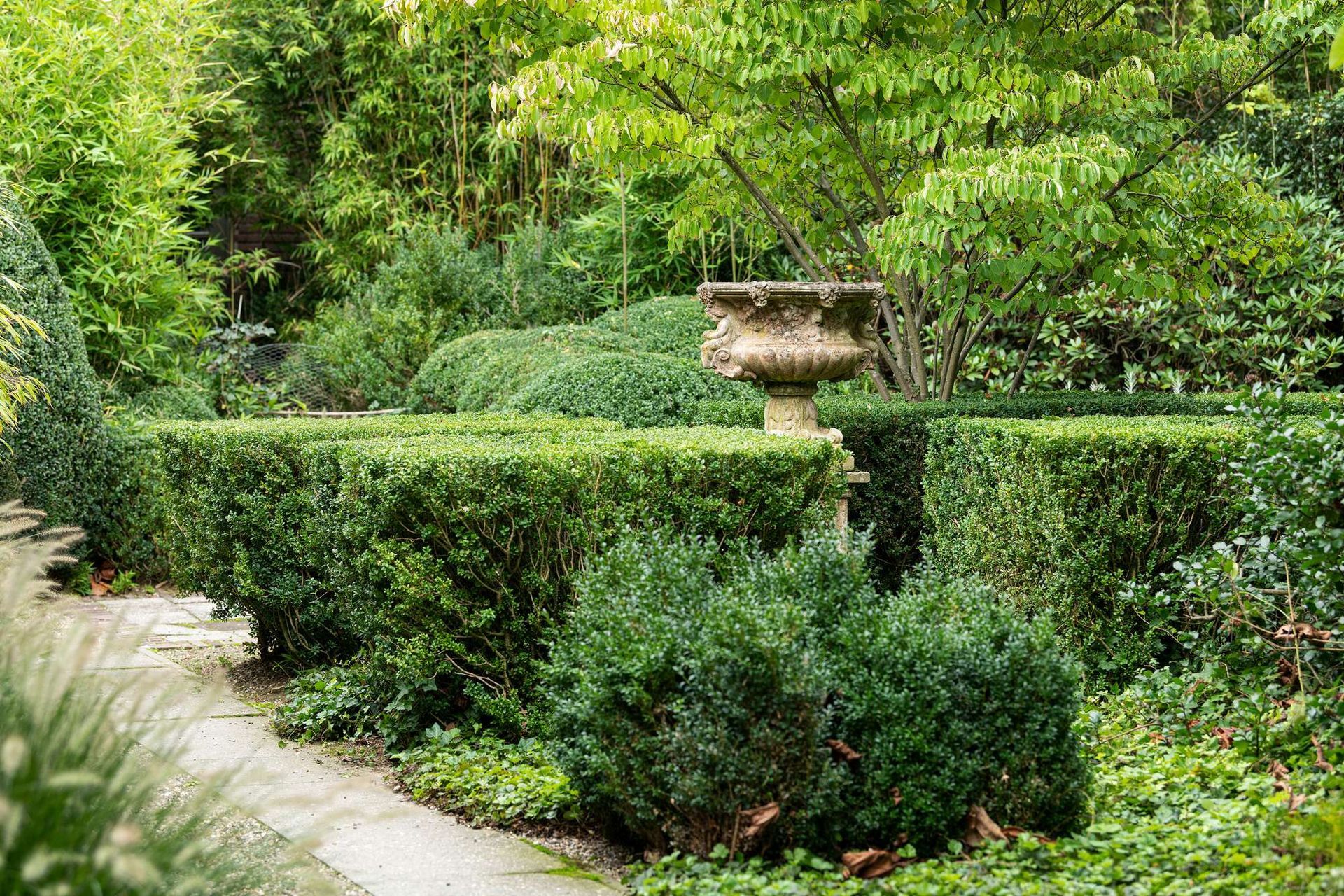 Een keurig onderhouden tuin met buxushagen, een stenen pad en een urn. Weelderig groen.