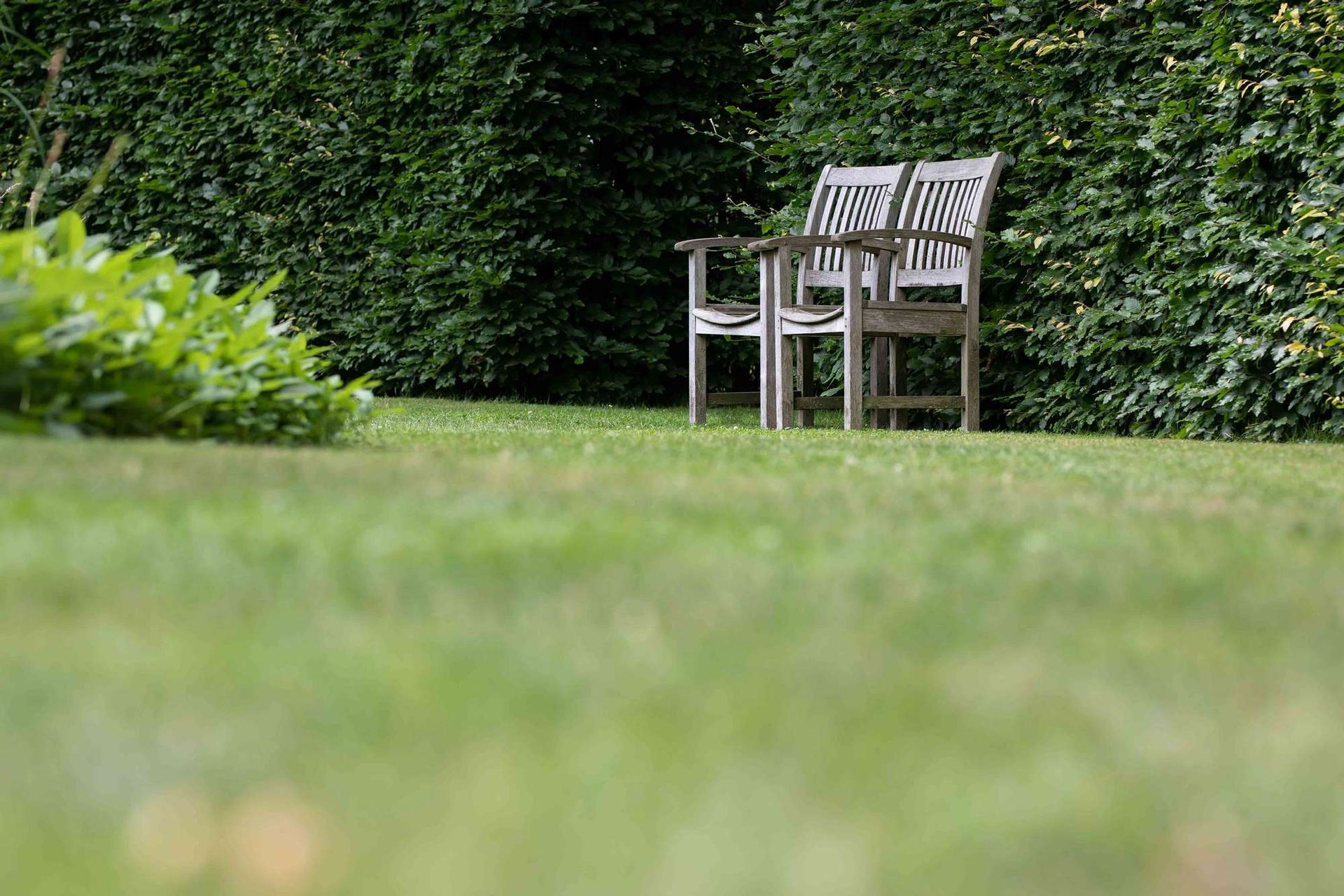 Houten stoelen op groen gras voor een heg.