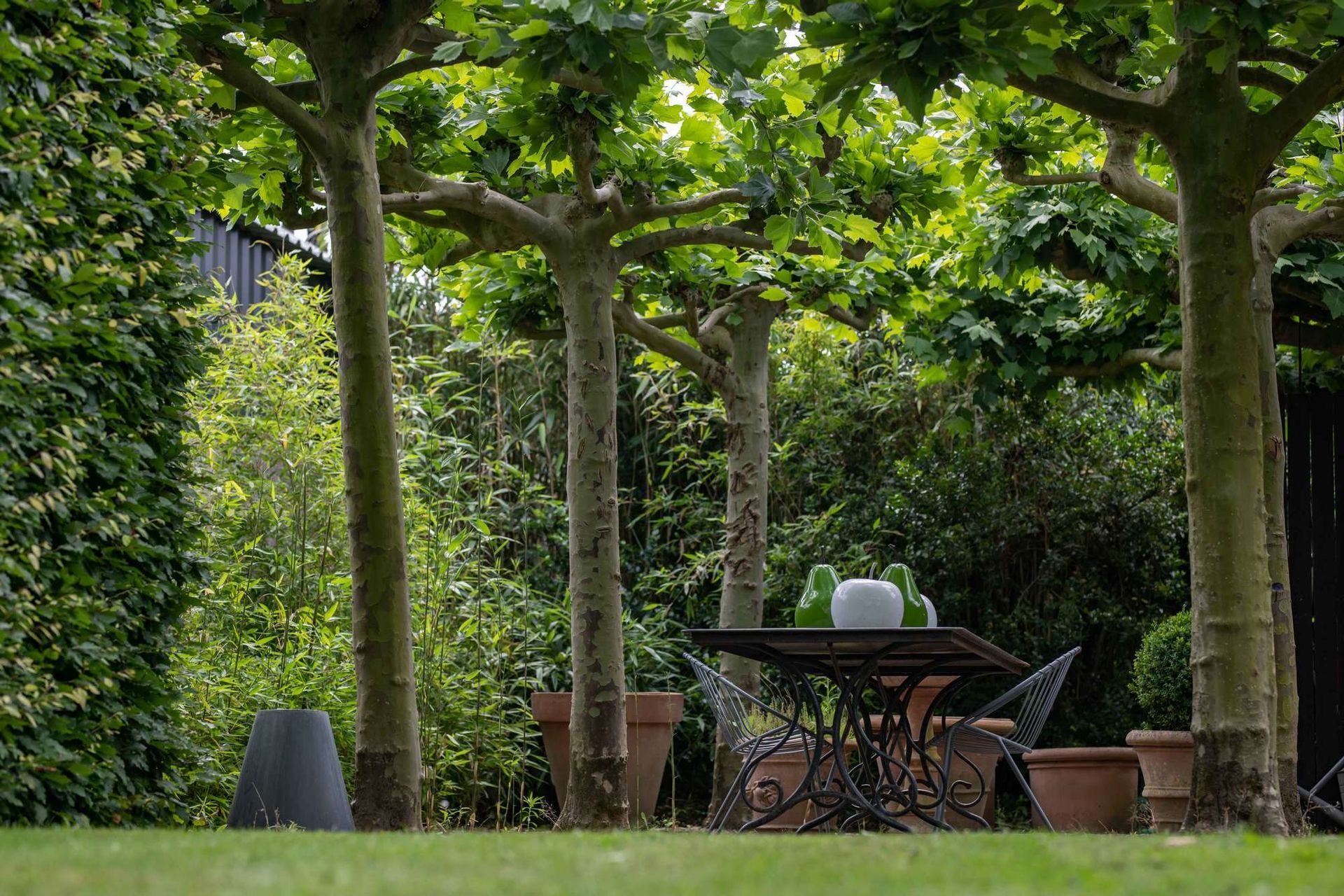 Een terrastafel en stoelen staan ​​onder bomen in een tuin. Groen gebladerte omringt de omgeving.