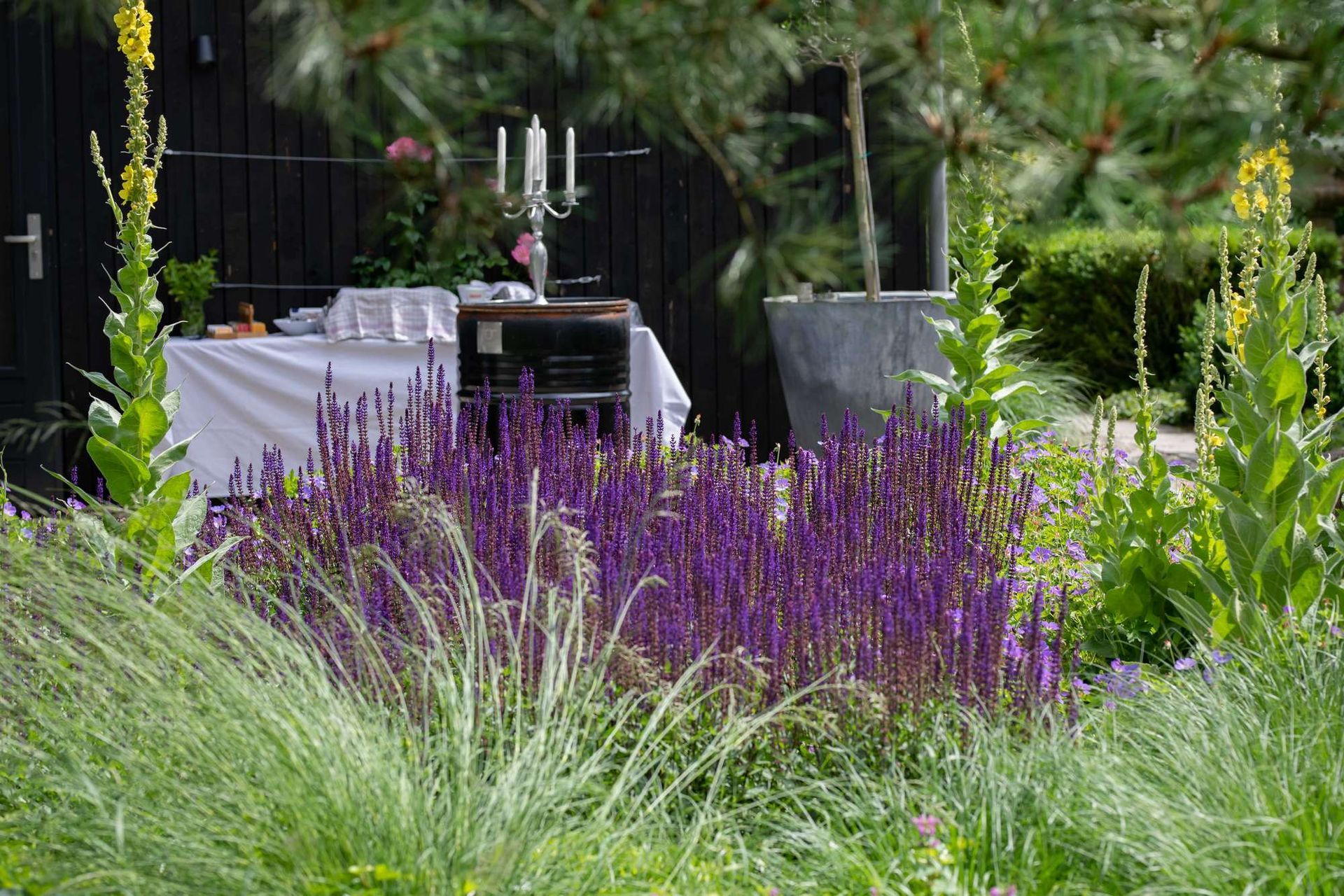 Paarse bloemen voor een tafel die gedekt is voor een evenement; een weelderige tuin met groen en een donker gebouw.