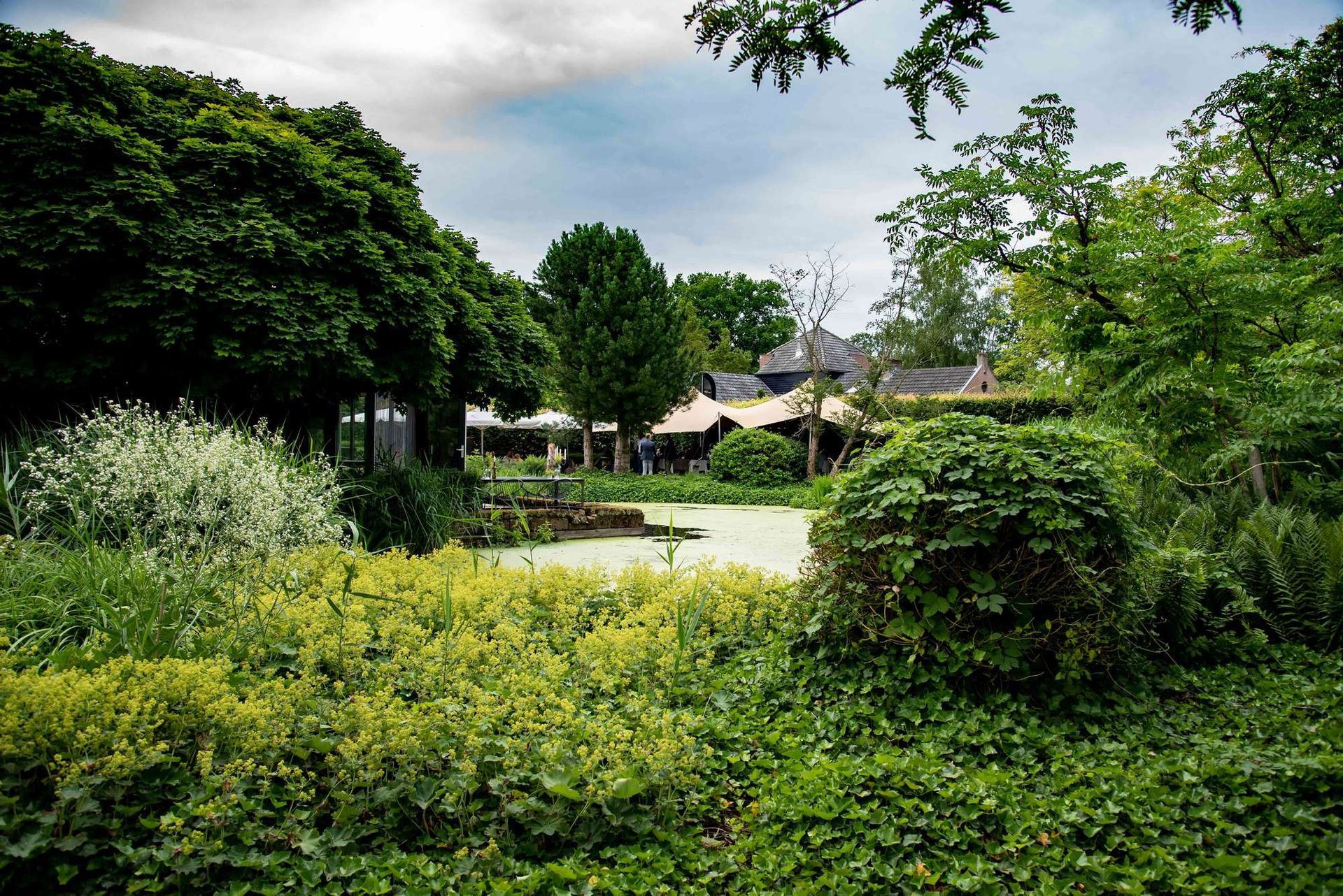 Een weelderige groene tuin met vijver, struiken en bomen onder een bewolkte hemel. Gebouwen in de verte.
