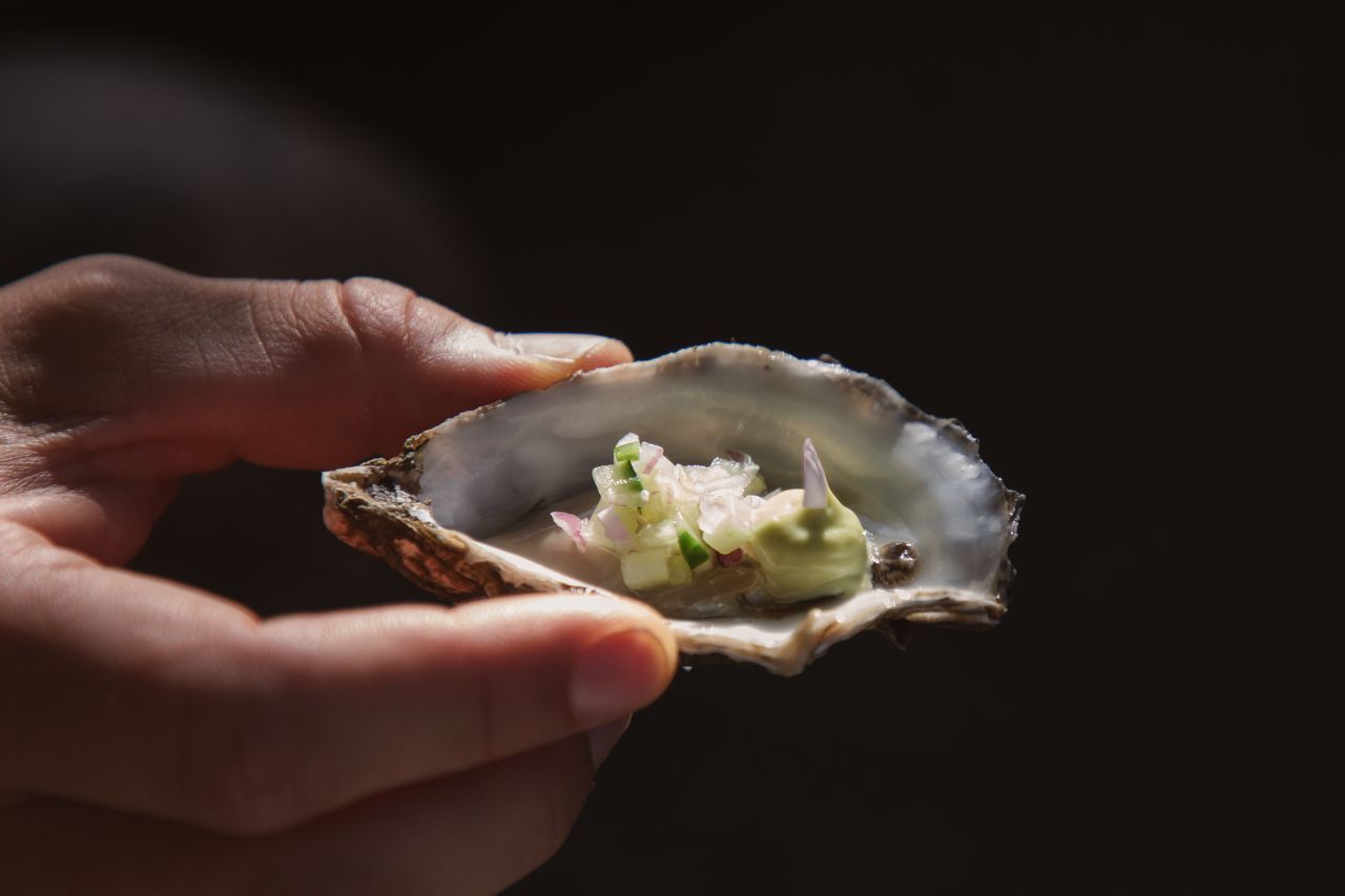 Hand die een oesterschelp vasthoudt, gevuld met een lichtgroene topping. Donkere achtergrond.